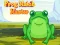 لعبة Frog Match Master على الانترنت