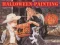 لعبة Halloween Painting على الانترنت
