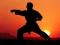 لعبة Karate Sunset Warriors على الانترنت