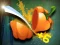 لعبة Veggie Slicer على الانترنت