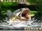 لعبة Backwater Fishing على الانترنت