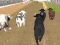 لعبة Angry Bull Racing على الانترنت
