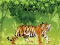 لعبة Angry Tiger Coloring على الانترنت