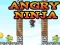 لعبة Angry Ninja على الانترنت