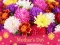 لعبة 2019 Mother's Day Puzzle على الانترنت