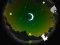 لعبة Alpaca Run على الانترنت