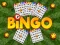لعبة Bingo على الانترنت