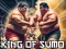 لعبة King Of Sumo the ultimate brawl على الانترنت