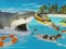 لعبة La Shark على الانترنت