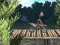 لعبة Bike Trial Xtreme Forest على الانترنت