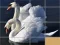 لعبة Animals Slide Puzzle على الانترنت