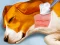 لعبة Dog Hospital على الانترنت