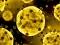 لعبة Coronavirus Slide على الانترنت
