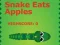 لعبة Snake Eats Apples على الانترنت