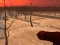 لعبة Wasteland Shooters على الانترنت