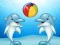 لعبة Dolphin Show على الانترنت