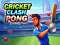لعبة Cricket Clash Pong على الانترنت