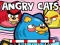 لعبة Angry Cats على الانترنت