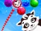 لعبة Raccoon Rescue على الانترنت