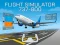 لعبة Flight Simulator 737-800 على الانترنت