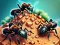 لعبة Ant Colony على الانترنت