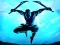 لعبة Shadow Ninja Revenge على الانترنت