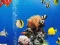 لعبة Sea Underwater Difference على الانترنت