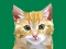 لعبة Idle Painter على الانترنت