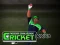 لعبة Cricket Fielder Challenge على الانترنت