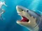 لعبة Shark Hunting على الانترنت