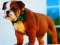لعبة Bulldog Puppy Puzzle على الانترنت