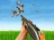 لعبة Bird Hunting على الانترنت