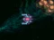 لعبة Asteroid Crush على الانترنت