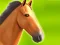 لعبة Horse Run 3D على الانترنت