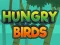 لعبة Hungry Birds على الانترنت