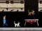 لعبة Streamer Fashion Run على الانترنت