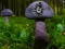 لعبة Mushroom Forest Adventure على الانترنت