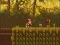 لعبة The Lost Forest على الانترنت