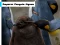 لعبة Emperor Penguin Jigsaw على الانترنت
