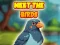لعبة Meet The Birds على الانترنت