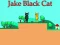 لعبة Jake Black Cat على الانترنت