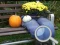 لعبة Autumn Garden Find 100 butterflies على الانترنت