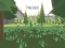 لعبة Precision على الانترنت