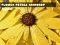 لعبة Flower Petals Raindrop Jigsaw على الانترنت