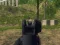 لعبة Army Shooter على الانترنت