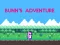 لعبة Bunn's Adventure على الانترنت