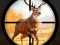 لعبة Wild Hunting Clash على الانترنت