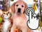 لعبة Pets Clicker على الانترنت
