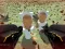 لعبة Shooting Survival Skibidi Toilet على الانترنت