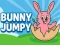 لعبة Bunny Jumpy على الانترنت